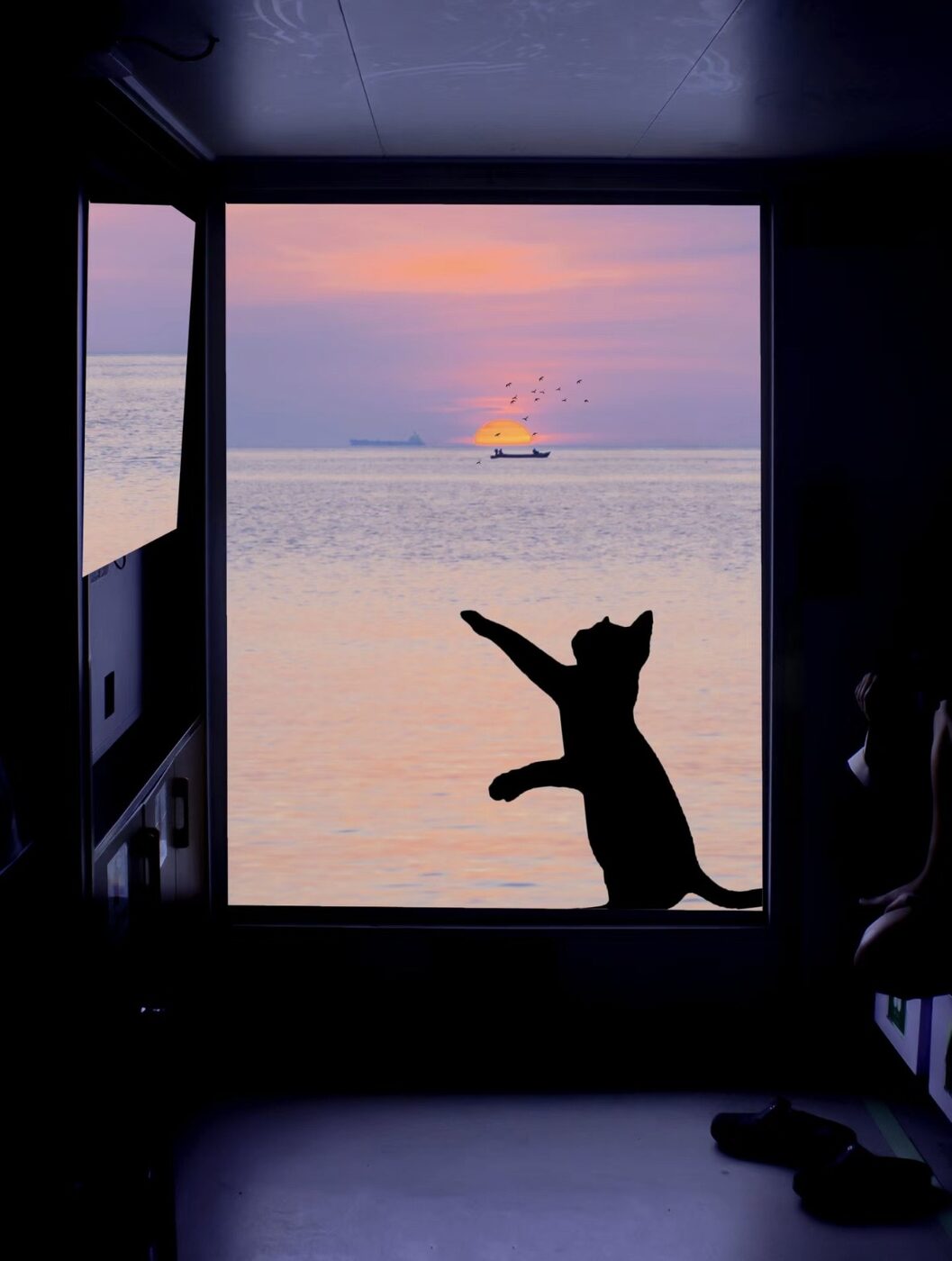 Silhouette of a cat at a window watching a sunset over the sea